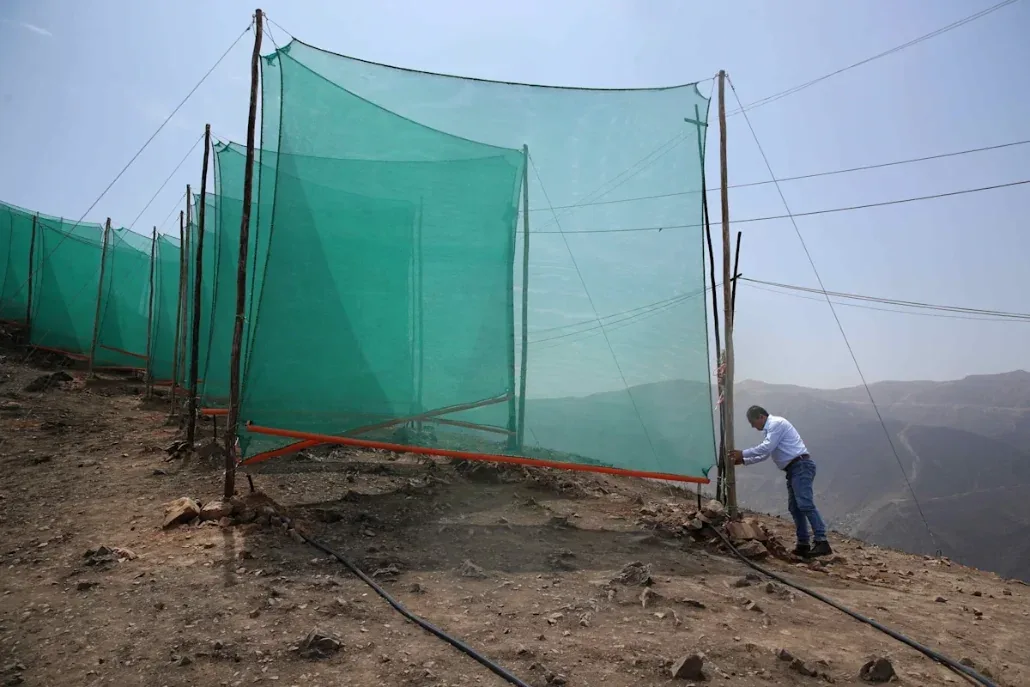 A fog catcher standing on a Lima hillside